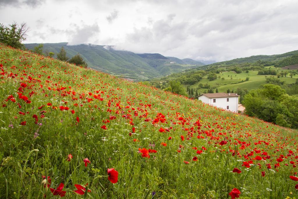 Вилла Casale Coccinella Preci Экстерьер фото